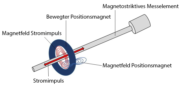 Magnetostrictive Transducer Measurement Principlerinzip
